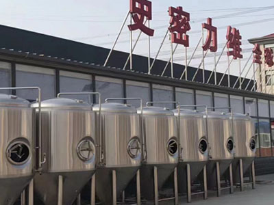 东至精酿啤酒设备厂—市场规模与跨界新需求
